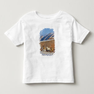 Big Horn Mountains, Horses running Toddler T-Shirt