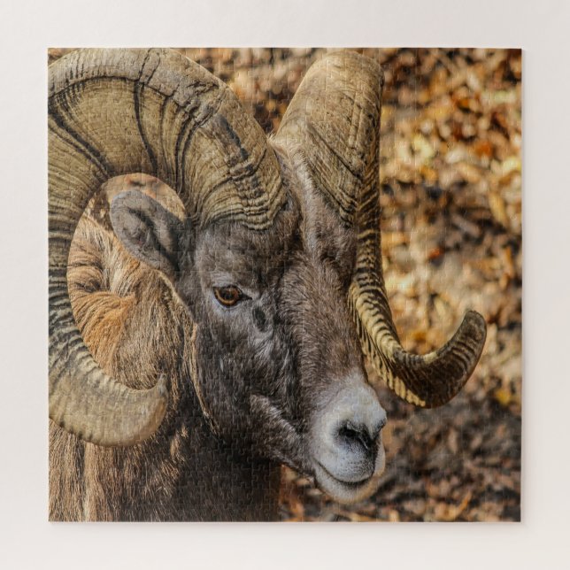 Big Horn Ram Jigsaw Puzzle (Vertical)