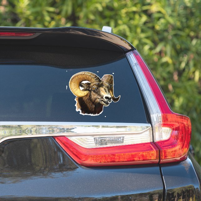 Big Horn Ram Mountain Sheep  (Car Side)