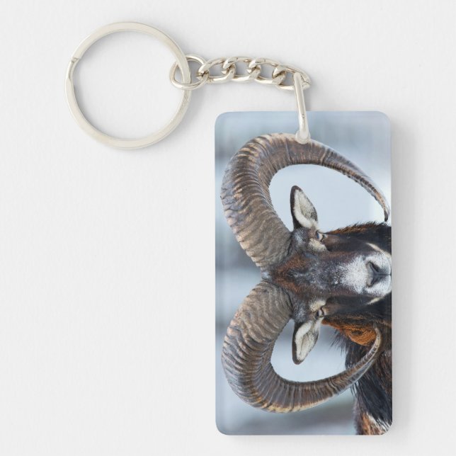 Big Horn Ram Sheep - Mouflon Key Ring (Front)
