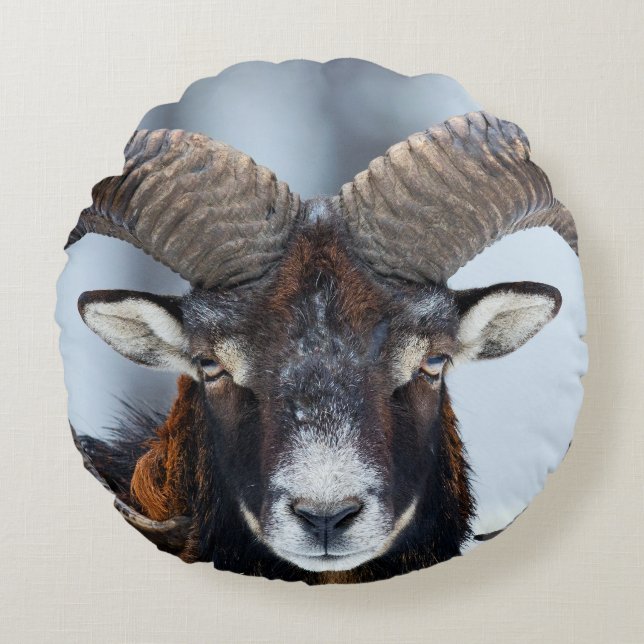 Big Horn Ram Sheep - Mouflon Round Cushion (Front)