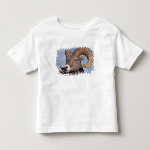 big horn sheep, mountain sheep, Ovis canadensis, Toddler T-Shirt