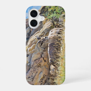 Big Horn Sheeps iPhone 16 Case