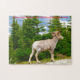 Big Horned Sheep Montana. Christmas Greetings Jigsaw Puzzle