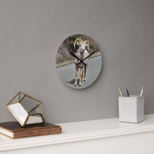 Big Horned Sheep Round Clock