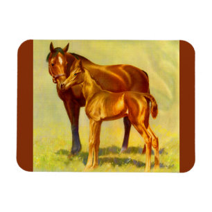 big horse little horse magnet