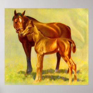 big horse little horse poster