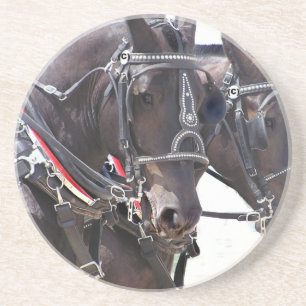Big Horses Coaster