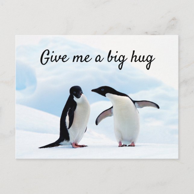Big hug Penguin on ice photo with text Postcard (Front)