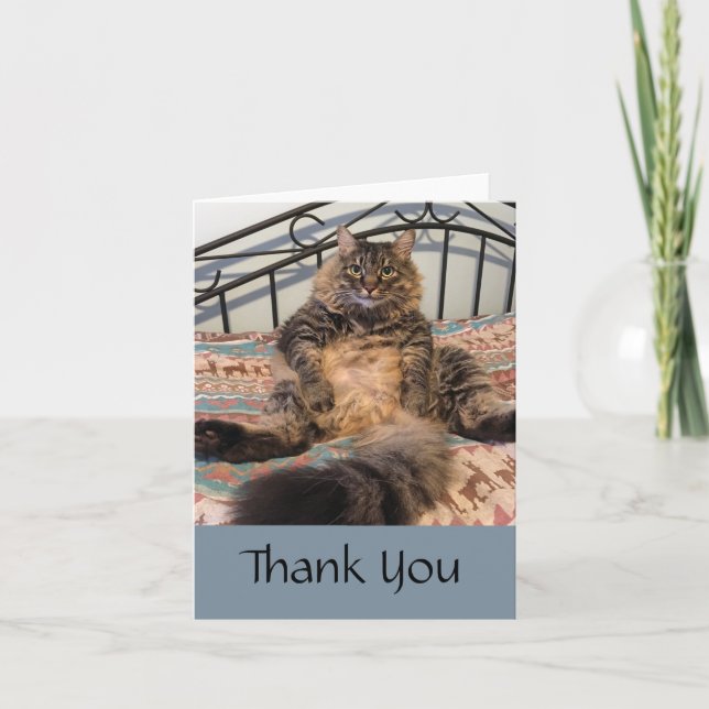 Big Huggable Cat Thank You Note Card (Front)