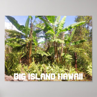 BIG ISLAND HAWAII BANANA TREES POSTER
