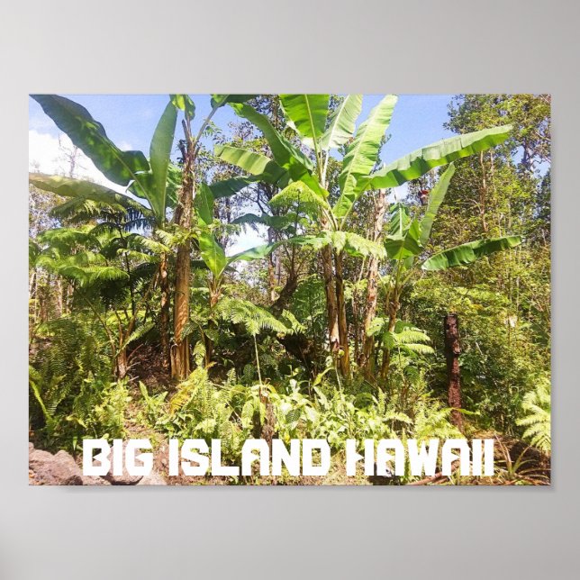 BIG ISLAND HAWAII BANANA TREES POSTER (Front)