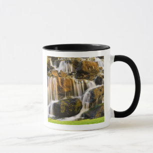 Big Island, Hawaii. Cascading stream, Big Island Mug