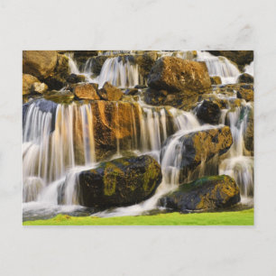 Big Island, Hawaii. Cascading stream, Big Island Postcard