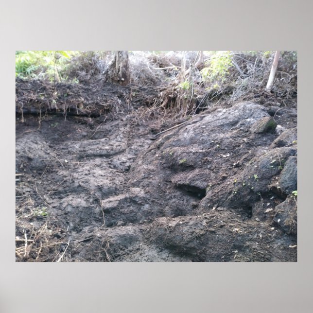 BIG ISLAND LAVA ROCK POSTER (Front)