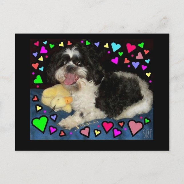 "Big Jake"  Postcard (Front)