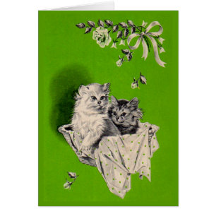 big kitten little kitten