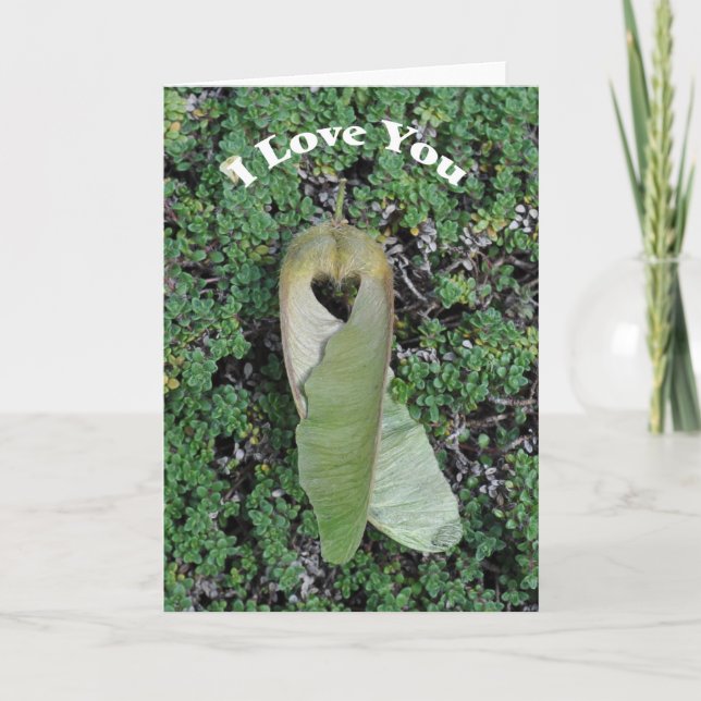 Big Leaf Maple Heart - Frameable Art Card (Front)