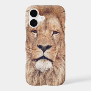 Big Lion Cat King of Africa