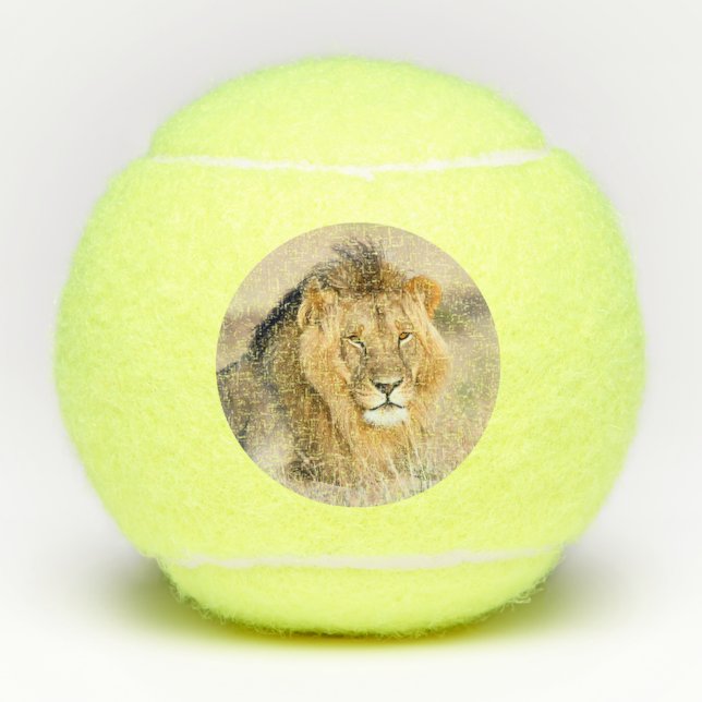 Big majestic lion wild animal photo tennis balls (Front)