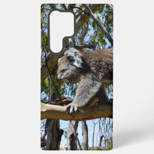 Big Male Australian Koala Bear, Samsung Galaxy Case