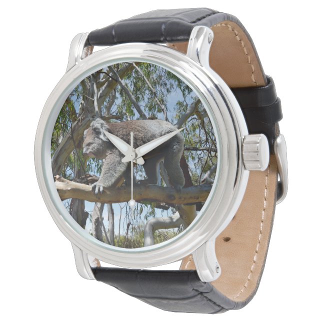 Big Male Australian Koala Bear, Watch (Angled)