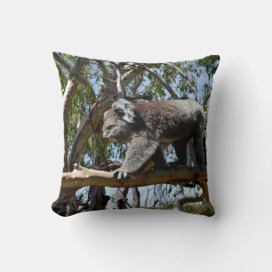 Big Male Koala Walking Along Tree Branch, Cushion