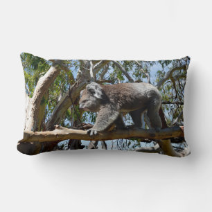 Big Male Koala Walking Along Tree Branch, Lumbar Cushion