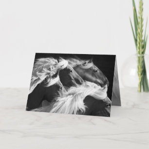 Big Mares Run - Horse Greeting Card