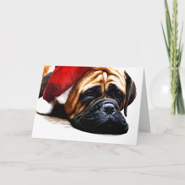 Big Mastiff Dog in Santa Hat Holiday Card (Front)