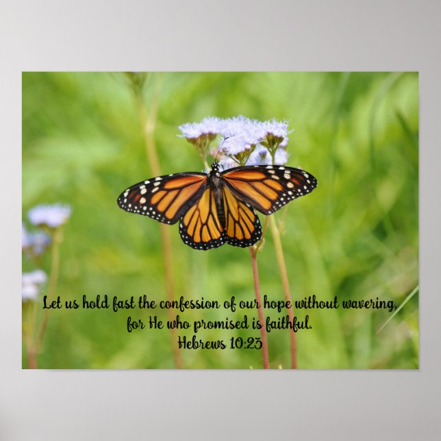 Big Monarch Butterfly on Wildflowers Poster Art (Front)
