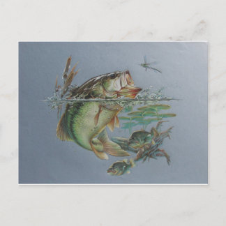 Big Mouth Bass Postcard