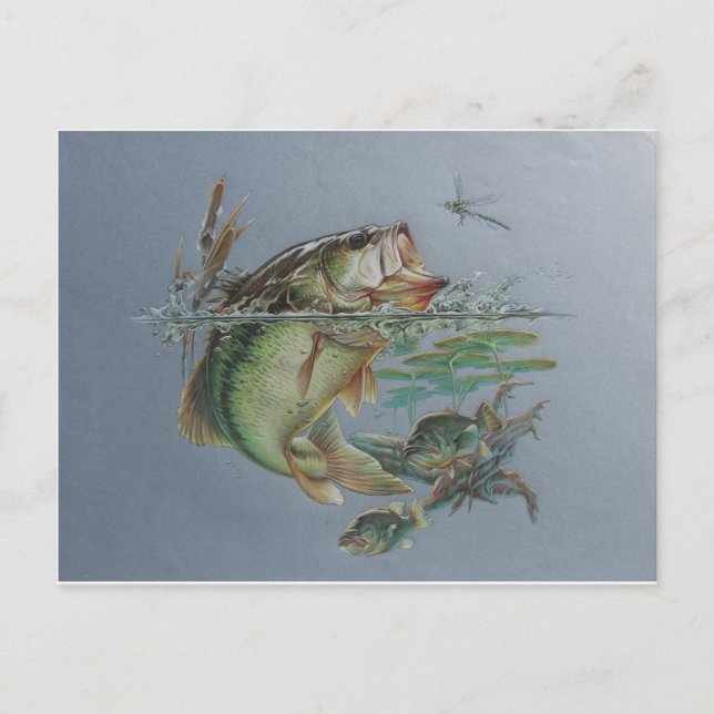 Big Mouth Bass Postcard (Front)