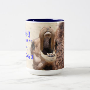 Big Mouthed Camel, Hump Day Blue Mug