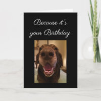 Big Nose Dog Funny Birthday Love Dog