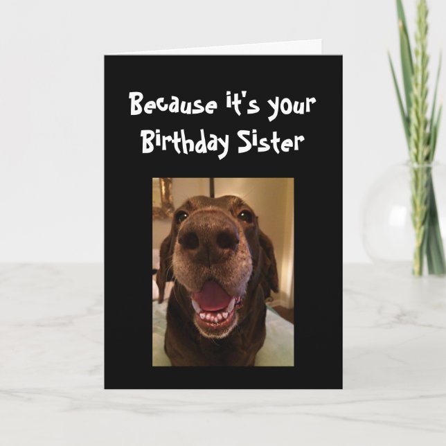 Big Nose Dog Funny Birthday Sister Love Dog Card (Front)