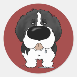Big Nose Newfoundland Classic Round Sticker