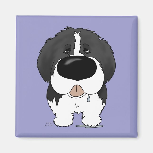 Big Nose Newfoundland Magnet (Front)