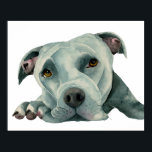 Big Ol' Head  | Pit Bull Dog Watercolor Painting Poster<br><div class="desc">This is a watercolor painting of a grey pit bull dog laying down on the floor. She’s looking up and her face is squished on the floor. Pit bulls tend to have larger head and I think they are adorable for that!</div>