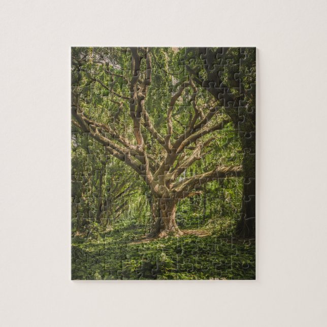 Big Old Ancient Tree in the Forest Jigsaw Puzzle (Vertical)