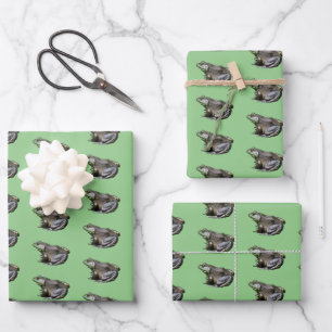 Big Old Bullfrog Animal Nature   Wrapping Paper Sheet