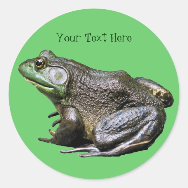 Big Old Bullfrog Animal Sticker (Front)