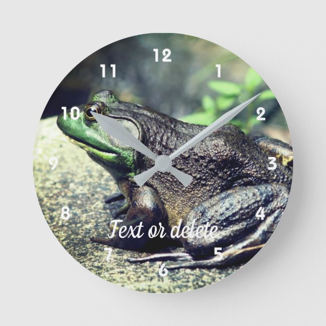 Big Old Bullfrog On Rock Personalized Round Clock (Front)