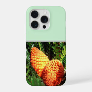 Big Orange African Seed Cone Pods, iPhone 15 Pro Case