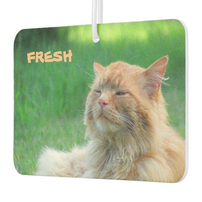 Big Orange Cat says "Fresh" Car Air Freshener (Left)