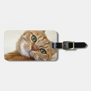 Big Orange Kitty Luggage Tag