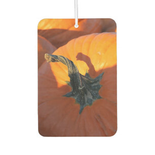 Big Orange Pumpkin Car Air Freshener