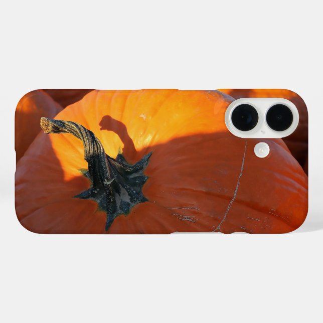 Big Orange Pumpkin  Case-Mate iPhone Case (Back (Horizontal))