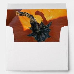 Big Orange Pumpkin Envelope