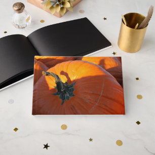 Big Orange Pumpkin  Guest Book
